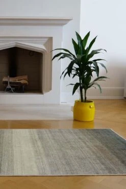 Natur Verlauf Teppich(Natur Verlauf Teppich) 25 Natur Verlauf Teppich(Natur Verlauf Teppich) -Wohn Teppich Welt 0036 NaturVerlauf Room c96e503a 422b 4799 8171 06a16a9fc5e6