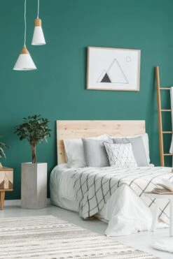 Lilly Natural Teppich(Lilly Natural Teppich) 25 Lilly Natural Teppich(Lilly Natural Teppich) -Wohn Teppich Welt 0074 LillyNatural Room