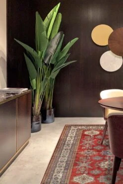 Alina Kazak Teppich(Alina Kazak Teppich) -Wohn Teppich Welt 0096 AlinaKazak Room 64c2634d 7573 43b6 81dd c086b9f27a78