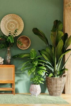 Paloma Mela Teppich(Paloma Mela Teppich) -Wohn Teppich Welt 0103 PalomaMela Laufer Room e6ecbdfa 677a 4850 afad 1450726a0513