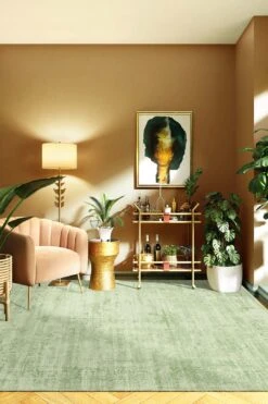 Paloma Mela Teppich(Paloma Mela Teppich) -Wohn Teppich Welt 0103 PalomaMela Room 6fe9137b 303f 43b6 b456 e6eaba222e18