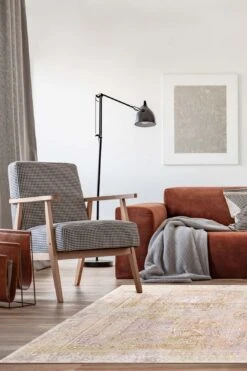 Delia Morganit Teppich(Delia Morganit Teppich) -Wohn Teppich Welt 0134 DeliaMorganit Room