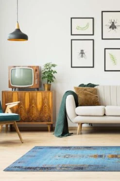 Nika Cyan Teppich(Nika Cyan Teppich) -Wohn Teppich Welt 0137 NikaCyan Room 56589ce5 dfb3 47d9 becb 1183e3386ebe