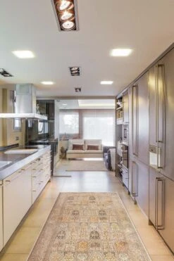 Banafsheh Beige Teppich(Banafsheh Beige Teppich) -Wohn Teppich Welt 0154 BanafshehBeige Room Laeufer