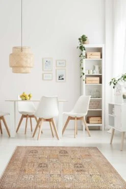 Banafsheh Beige Teppich(Banafsheh Beige Teppich) -Wohn Teppich Welt 0154 BanafshehBeige Room Normal