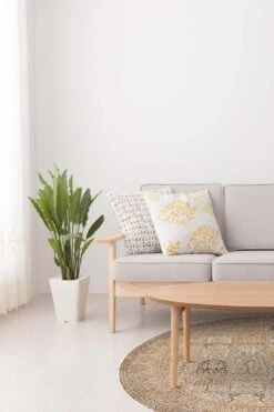 Banafsheh Beige Teppich(Banafsheh Beige Teppich) -Wohn Teppich Welt 0154 BanafshehBeige Room Rund