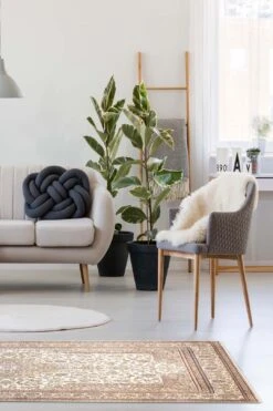 Atessa Klassisch Teppich(Atessa Klassisch Teppich) -Wohn Teppich Welt 0155 AtessaKlassisch Room Normal