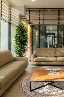 Atessa Klassisch Teppich(Atessa Klassisch Teppich) -Wohn Teppich Welt 0155 AtessaKlassisch Room Rund