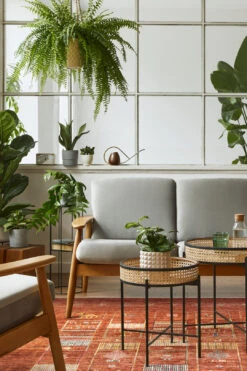 Balu Mokka Teppich(Balu Mokka Teppich) -Wohn Teppich Welt 0156 BaluMokka Quadrat Room