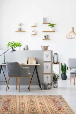 Shiva Naturell Teppich(Shiva Naturell Teppich) 25 Shiva Naturell Teppich(Shiva Naturell Teppich) -Wohn Teppich Welt 0158 ShivaNaturell Room 58050f1c 1931 45a9 bb28 6144e33e29e9