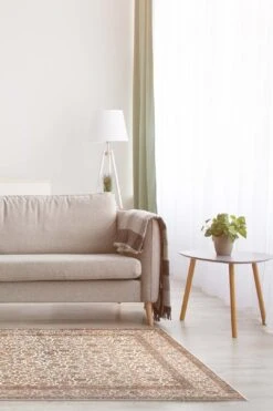 Azita Detail Teppich(Azita Detail Teppich) -Wohn Teppich Welt 0160 AzitaDetail Room Normal