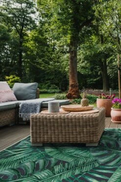 Outdoor Tropischer Garten Teppich(Outdoor Tropischer Garten Teppich) -Wohn Teppich Welt 0165 TropischerGarten Room