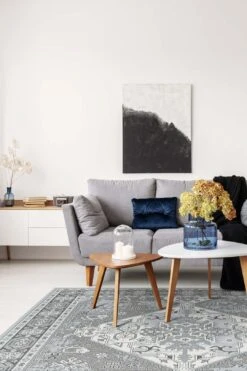 Keivan Platin Teppich(Keivan Platin Teppich) -Wohn Teppich Welt 0183 KeivanPlatin Quadrat Room