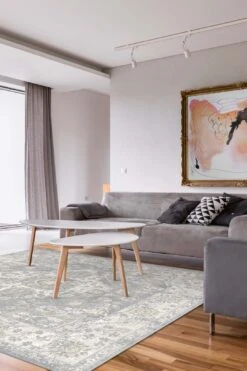 Hiranur Nebel Teppich(Hiranur Nebel Teppich) -Wohn Teppich Welt 0184 HiranurNebel Room Quadrat