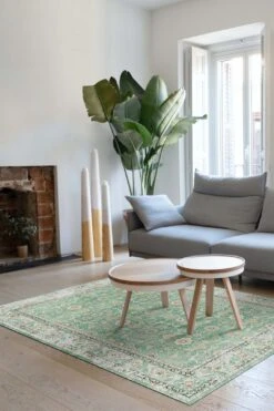 Persisch Jade Teppich(Persisch Jade Teppich) -Wohn Teppich Welt 0188 PersischJade Room 683078e3 dc92 4cf1 a38d b7329e318e6c