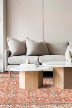 Persisch Karneol Teppich(Persisch Karneol Teppich) -Wohn Teppich Welt 0194 PersischKarneol Room 704a7e30 b4d2 444c aa2c e5f8d86f71a8