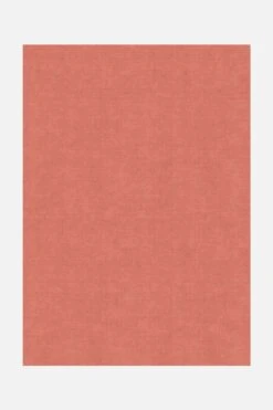 Jute-Haptik Mono Karneol Teppich(Jute Haptik Mono Karneol Teppich)