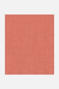 Jute-Haptik Mono Karneol Teppich(Jute Haptik Mono Karneol Teppich) -Wohn Teppich Welt 0212 MonoKarneol 250x300 Front 44921326 6b64 4c9b 9be2 7dccfd0cc1c0