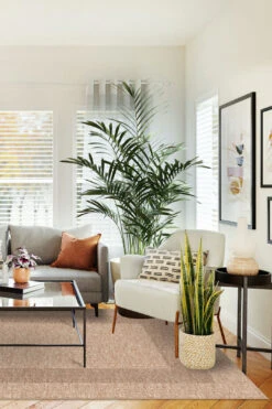 Jute-Haptik Madison Crema Teppich(Jute Haptik Madison Crema Teppich) 41 Jute-Haptik Madison Crema Teppich(Jute Haptik Madison Crema Teppich) -Wohn Teppich Welt 0241 MadisonCrema Room