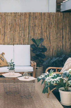 Jute-Haptik Emi Cappuccino Teppich(Jute Haptik Emi Cappuccino Teppich) 24 Jute-Haptik Emi Cappuccino Teppich(Jute Haptik Emi Cappuccino Teppich) -Wohn Teppich Welt 0244 EmiCappuccino Room Outdoor b3de824b cf54 45c6 96a1 083e94ba3c62