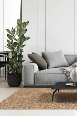 Jute-Haptik Giorgia Kastanie Teppich(Jute Haptik Giorgia Kastanie Teppich) -Wohn Teppich Welt 0248 GiorgiaKastanie Room 5671da91 9cea 404f b9c2 3261e1cf957a