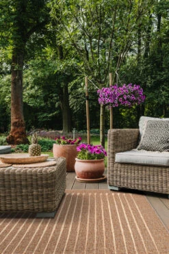 Jute-Haptik Felia Eiche Teppich(Jute Haptik Felia Eiche Teppich) -Wohn Teppich Welt 0251 FeliaEiche Outdoor Room a2f02074 6e64 45b1 ada5 47c2708d88b0