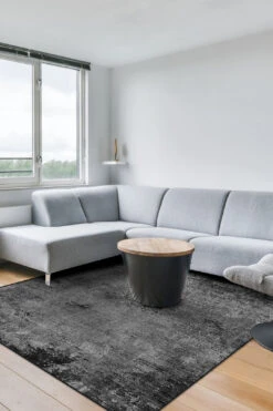 Asche Galenit Teppich(Asche Galenit) 38 Asche Galenit Teppich(Asche Galenit) -Wohn Teppich Welt 0255 AscheGalenit Quadrat Room 61d6fcdb b202 4700 8023 2acf84816fc5