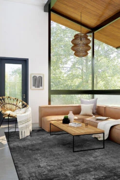 Asche Galenit Teppich(Asche Galenit) 26 Asche Galenit Teppich(Asche Galenit) -Wohn Teppich Welt 0255 AscheGalenit Room 02 ed314a31 6f67 4aea 9933 1de1eac0b17d