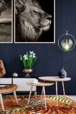 Outdoor Palme Rotkardinal Teppich(Outdoor Palme Rotkardinal Teppich) 25 Outdoor Palme Rotkardinal Teppich(Outdoor Palme Rotkardinal Teppich) -Wohn Teppich Welt 0261 PalmeRotkardinal Room Indoor