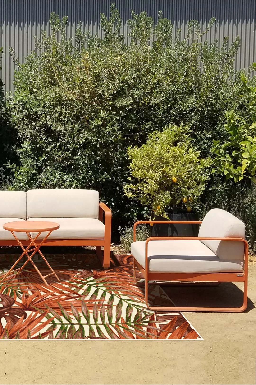 Outdoor Palme Rotkardinal Teppich(Outdoor Palme Rotkardinal Teppich) 22 Outdoor Palme Rotkardinal Teppich(Outdoor Palme Rotkardinal Teppich) – Bild 20