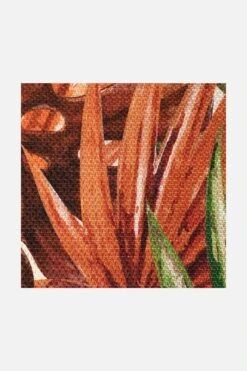 Outdoor Palme Rotkardinal Teppich(Outdoor Palme Rotkardinal Teppich) 36 Outdoor Palme Rotkardinal Teppich(Outdoor Palme Rotkardinal Teppich) -Wohn Teppich Welt 0261 PalmeRotkardinal Zoom 53d6b25e fa01 409a 8372 e8b1c94e173c