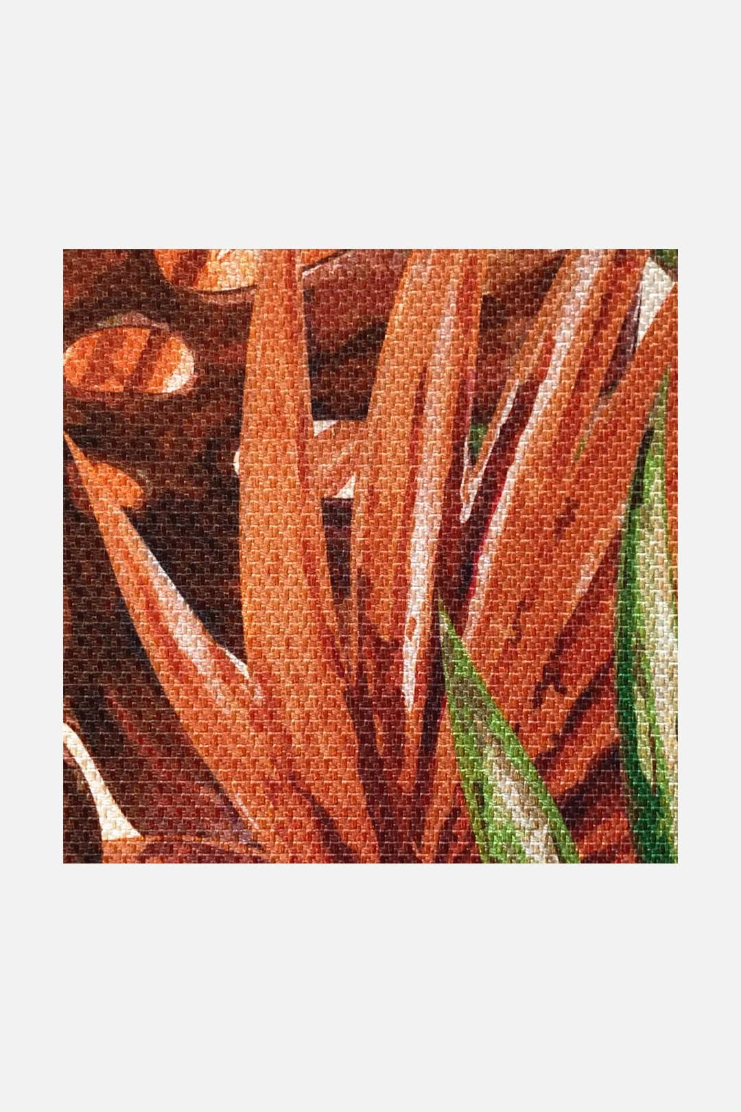 Outdoor Palme Rotkardinal Teppich(Outdoor Palme Rotkardinal Teppich) 10 Outdoor Palme Rotkardinal Teppich(Outdoor Palme Rotkardinal Teppich) – Bild 8