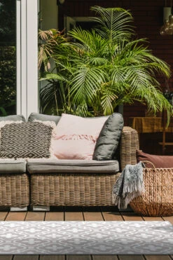 Outdoor Irene Edel Teppich(Outdoor Irene Edel Teppich) 30 Outdoor Irene Edel Teppich(Outdoor Irene Edel Teppich) -Wohn Teppich Welt 0276 IreneEdel Laufer Room Outdoor