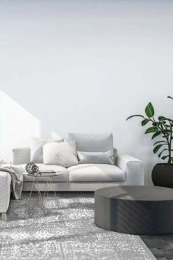 Emily Klassisch Teppich(Emily Klassisch Teppich) -Wohn Teppich Welt 0289 EmilyKlassisch Room be98e56a 0f88 4a4a b4ad 04b67c40759a