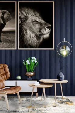 Seda Sandstein Teppich(Seda Sandstein Teppich) -Wohn Teppich Welt 0309 SedaSandstein Room fe4b752c afdb 4110 a62c e3fa8c682044