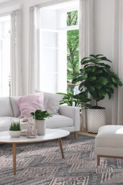 Kalea Rose Teppich(Kalea Rose Teppich) -Wohn Teppich Welt 0320 KaleaRose Quadrat Room