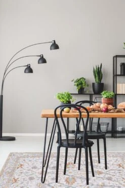 Marvie Bromelie Teppich(Marvie Bromelie Teppich) 25 Marvie Bromelie Teppich(Marvie Bromelie Teppich) -Wohn Teppich Welt 0325 MarvieBromelie Room