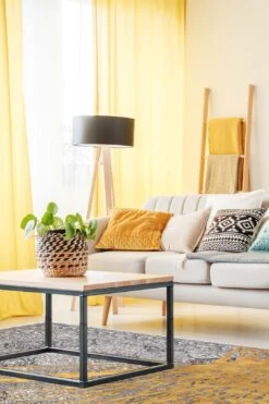 Inga Gold Teppich(Inga Gold Teppich) 41 Inga Gold Teppich(Inga Gold Teppich) -Wohn Teppich Welt 0329 IngaGold Room 55fe6d28 2152 46a5 80e7 bd64c0b957b2