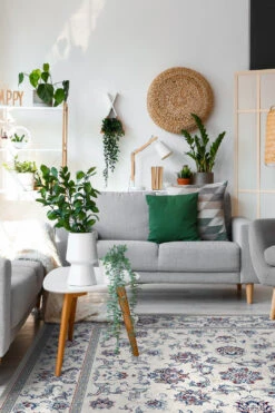 Iris Blau Teppich(Iris Blau Teppich) 35 Iris Blau Teppich(Iris Blau Teppich) -Wohn Teppich Welt 0337 IrisBlau Quadrat Room