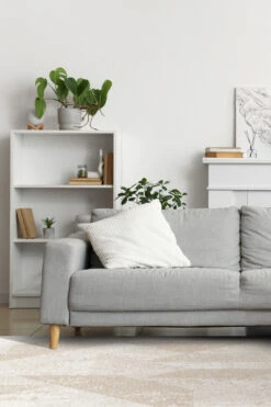 Sandra Beige Teppich(Sandra Beige Teppich) -Wohn Teppich Welt 0353 SandraBeige Room 02 6747b2a2 04ec 4536 b5dc 92ea930eb266