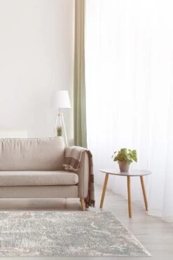 Saskia Fossil Teppich(Saskia Fossil Teppich) 22 Saskia Fossil Teppich(Saskia Fossil Teppich) -Wohn Teppich Welt 0358 Room 908f187d 2047 4188 b6c4 5f0d63923f3d