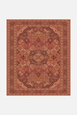 Rachel Fuchs Teppich(Rachel Fuchs Teppich) -Wohn Teppich Welt 0413 RachelFuchs 250x300 Front