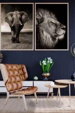 Samara Umbra Teppich(Samara Umbra Teppich) -Wohn Teppich Welt 0423 SamaraUmbra Normal Room abe81f76 3990 463f ac31 4c7e161addfe