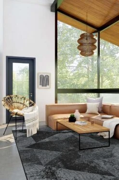 Sandra Carbon Teppich(Sandra Carbon Teppich) -Wohn Teppich Welt 0424 SandraCarbon Normal Room 18468164 10ba 46ba 81eb 76a37f27e0f0