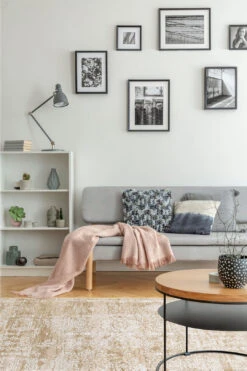 Lea Natur Teppich(Lea Natur Teppich) -Wohn Teppich Welt 0435 LeaNatur Normal Room 47427ce7 8553 492e ac2b 959cfca15dd6