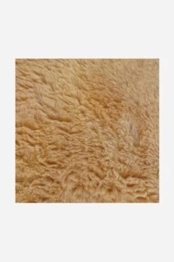 Flausch Mono Toffee Teppich(Toffee Flausch Teppich) 18 Flausch Mono Toffee Teppich(Toffee Flausch Teppich) -Wohn Teppich Welt 0462 Zoom b507f6a3 8b94 40cf 84a5 1699089f929d