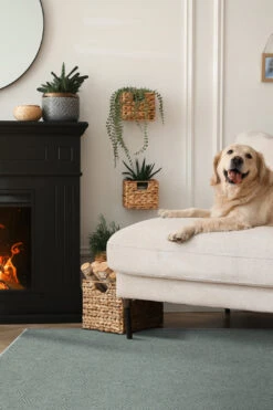 Schneeflocke Tanne Teppich(Schneeflocke Tanne Teppich) 15 Schneeflocke Tanne Teppich(Schneeflocke Tanne Teppich) -Wohn Teppich Welt 0515 SchneeflockeTanne Room