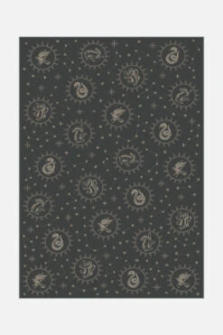 Harry Potter™ Sternenflug Basalt Teppich(Harry Potter Sternenflug Basalt Teppich)