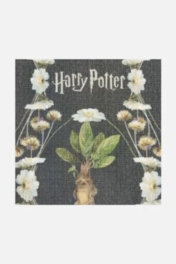 Harry Potter™ Alraune Basalt Teppich(Harry Potter Alraune Basalt Teppich) -Wohn Teppich Welt 0544 Harry Potter Alraune Basalt Zoom ffe39a5f a660 4664 8f1b 1702911c1636