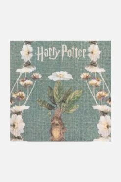 Harry Potter™ Alraune Patinagrün Teppich(Harry Potter Alraune Patinagrun Teppich) -Wohn Teppich Welt 0545 Harry Potter Alraune Patinagruen Zoom be350f91 a4a0 4055 97a4 b514b54d1551